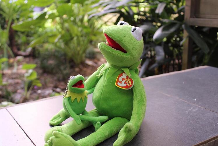 Kermit The Frog Plush Toys – Fluffy Huggables Zone